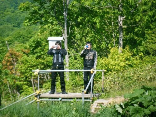 1006138.gif