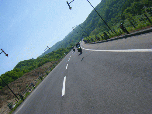 10061311.gif