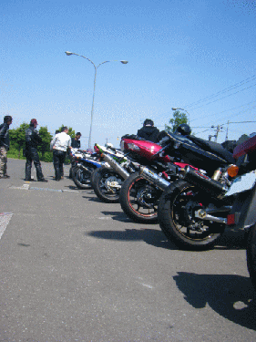 10061313.gif