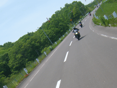 10061317.gif