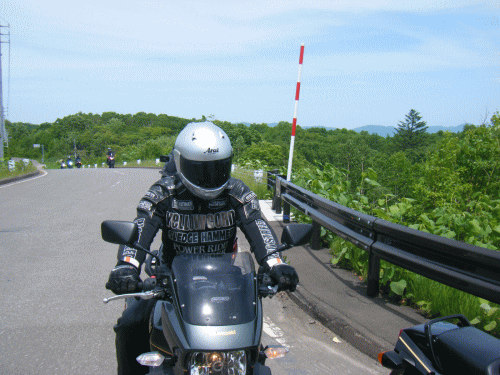 10061318.gif
