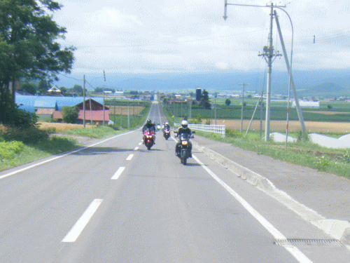 1007113.gif
