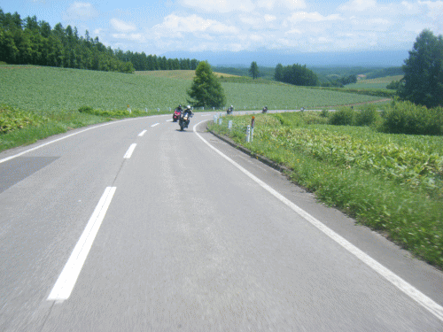 10071112.gif