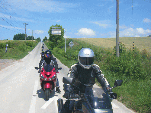 10071113.gif