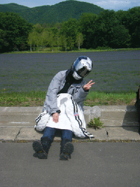 10071116.gif