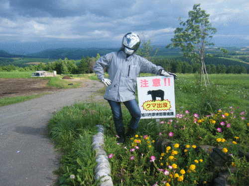 1007271.gif