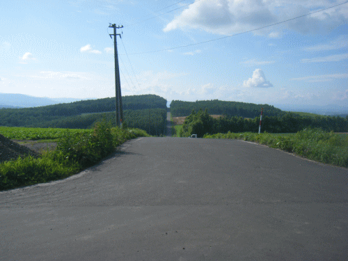 1007272.gif