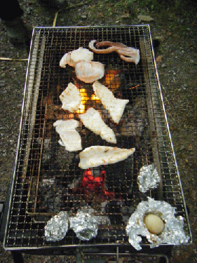10073113.gif