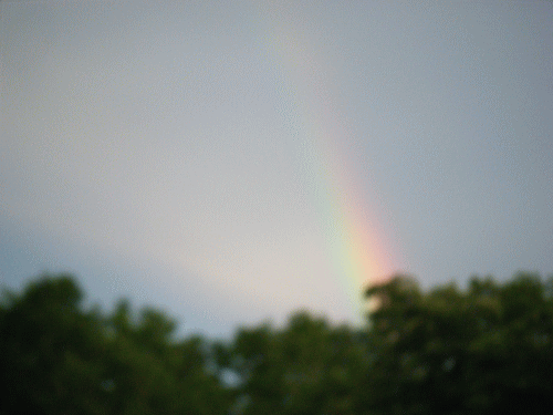 10073117.gif