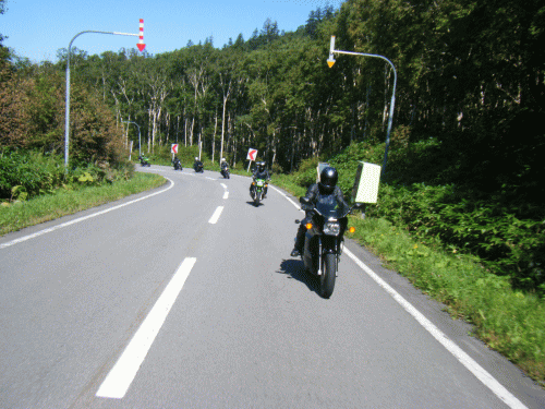 1009128.gif