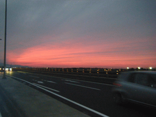 10091216.gif