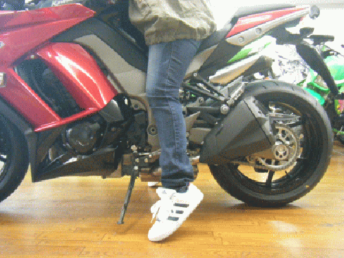 1011308.gif