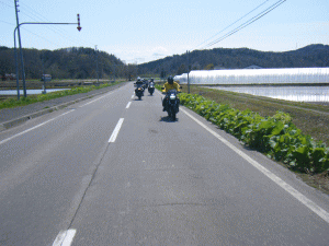 20111051513.gif