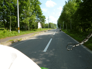 11080727.gif