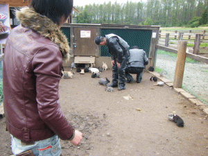 1109194.gif