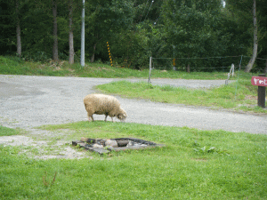 1109196.gif