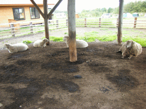 1109197.gif