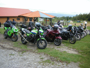 11091912.gif