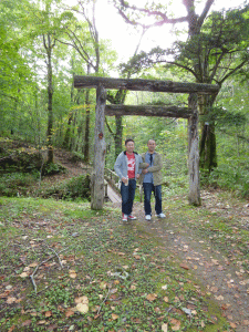 1110017.gif