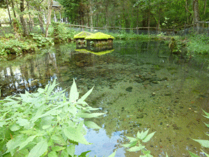 1110019.gif
