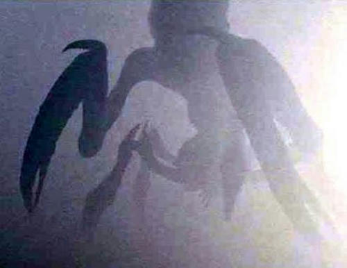 3262446_f520.jpg