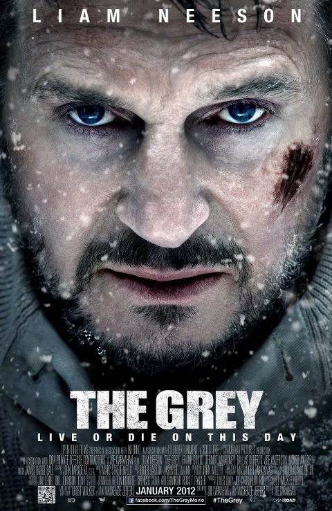THE GREY 凍える太陽