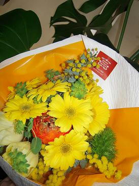 DSCN0497.JPG