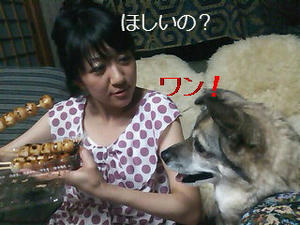 201007041634000.jpg