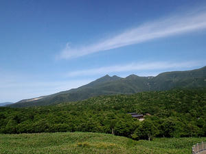 dd690891.JPG