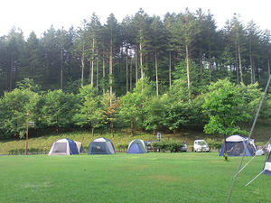 8a024f82.JPG