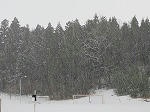 IMG_0274.jpg