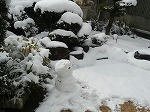 P2022703.jpg