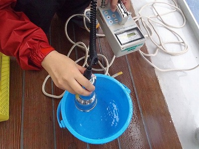 P6291859.jpg