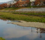 元画像