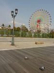 鳩と共にpart2