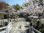 金戒光明寺手前の墓地