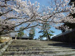 金戒光明寺