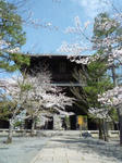 金戒光明寺