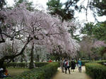 京都御所