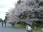 京都御所