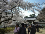 醍醐寺