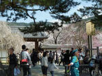 醍醐寺