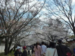 醍醐寺