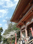 山門
