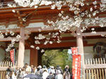 山門