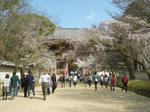 醍醐寺