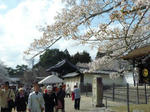 醍醐寺