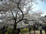 醍醐寺