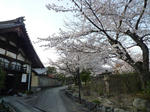 上品蓮台寺