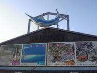 110401_5.jpg
